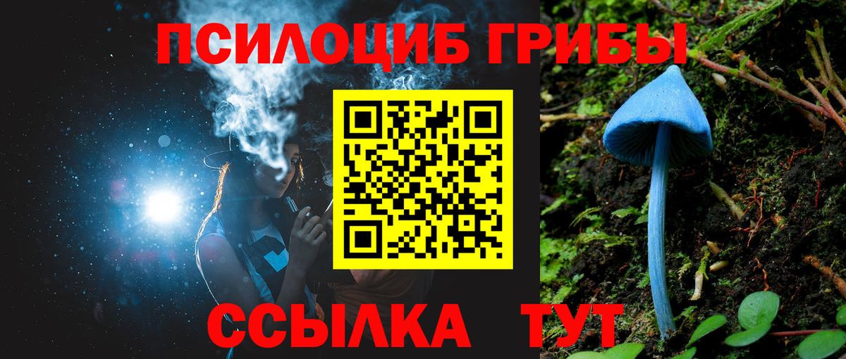 Псилоцибиновые грибы прущие грибы  Вход с VPN  Югорск 