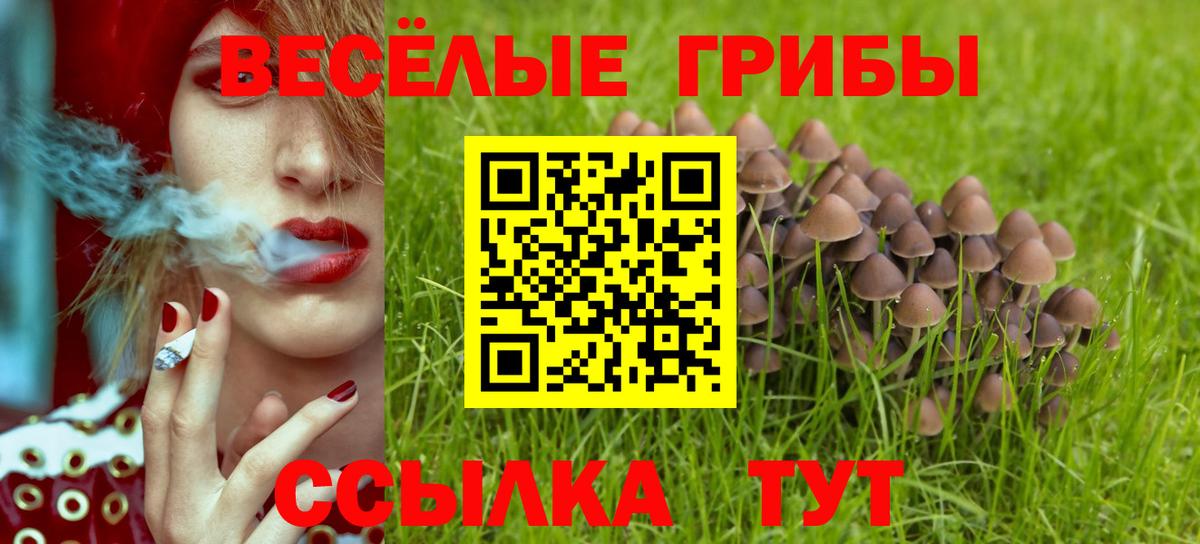 Галлюциногенные грибы прущие грибы Югорск